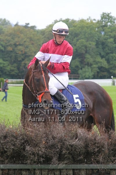 IMG 1171 600x400 prot