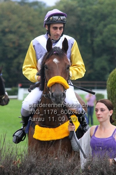 IMG 1176 600x400 prot