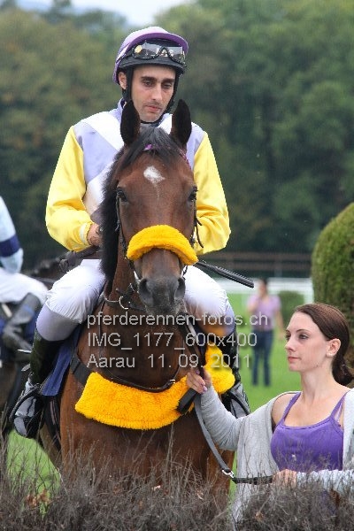 IMG 1177 600x400 prot