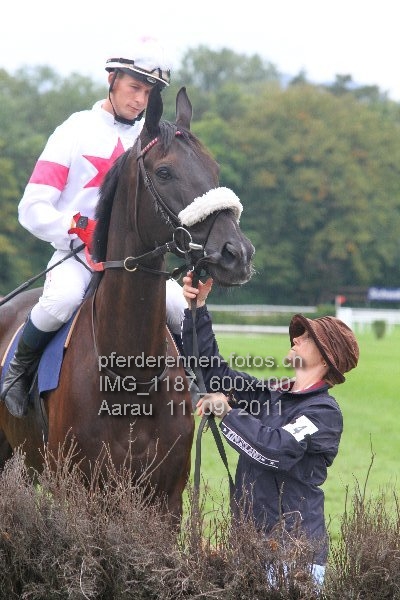 IMG 1187 600x400 prot