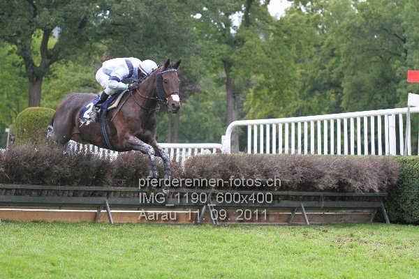IMG 1190 600x400 prot