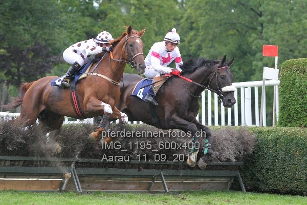 IMG 1195 600x400 prot