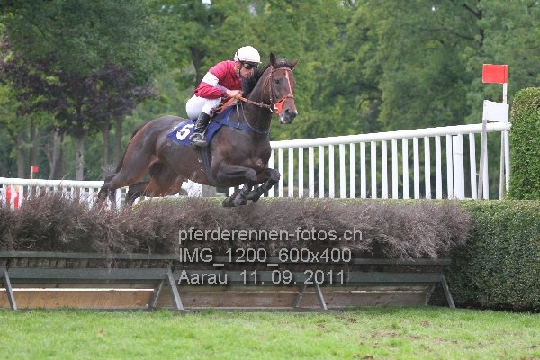 IMG 1200 600x400 prot