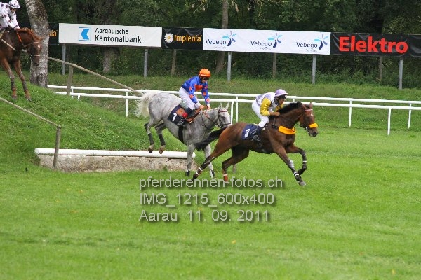 IMG 1215 600x400 prot
