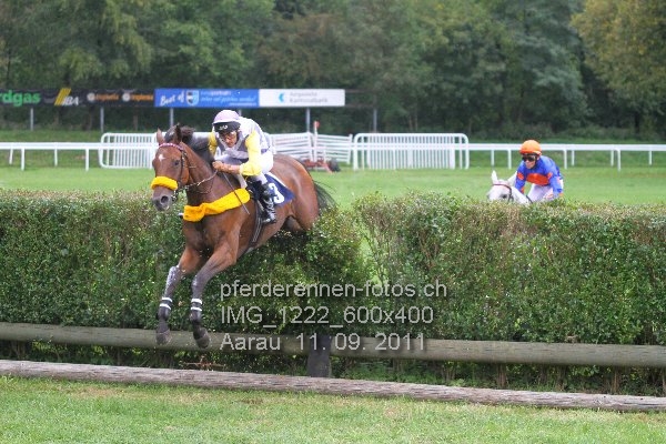 IMG 1222 600x400 prot
