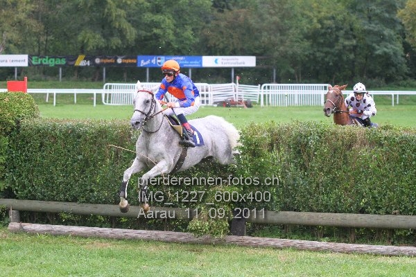 IMG 1227 600x400 prot