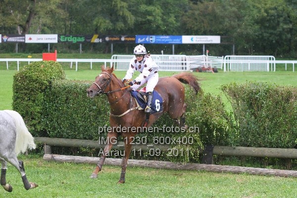 IMG 1230 600x400 prot