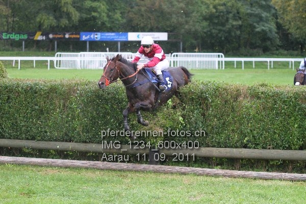 IMG 1234 600x400 prot
