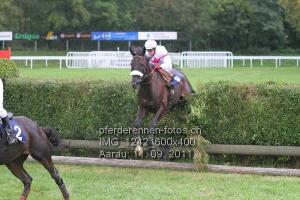 IMG 1242 600x400 prot