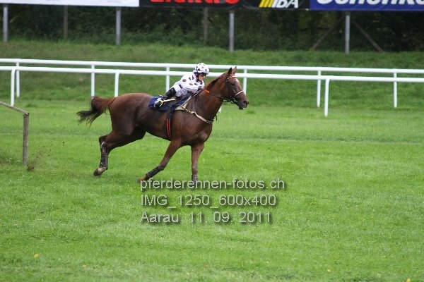 IMG 1250 600x400 prot