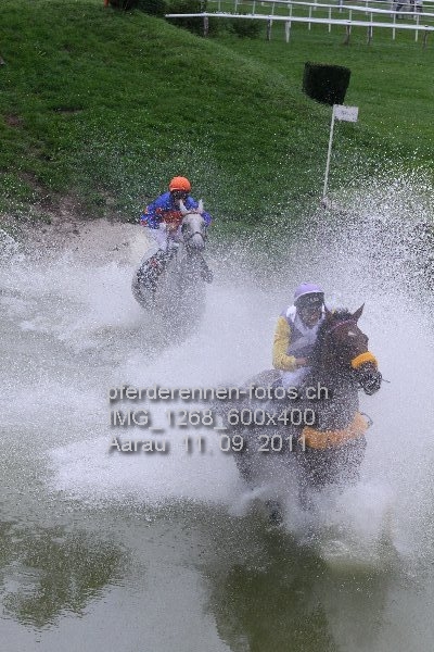 IMG 1268 600x400 prot