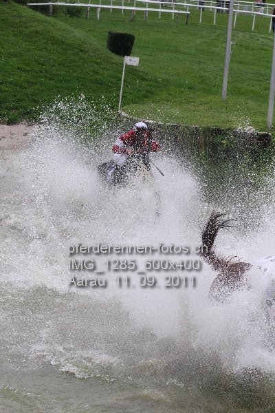 IMG 1285 600x400 prot