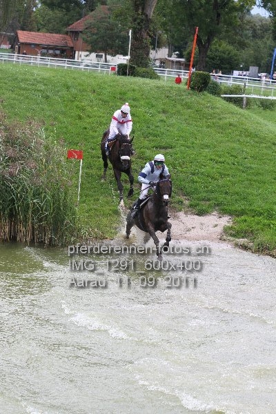 IMG 1291 600x400 prot