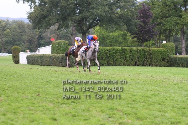 IMG 1342 600x400 prot