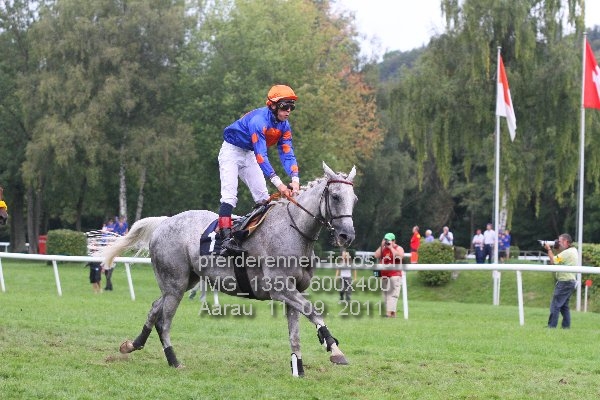 IMG 1350 600x400 prot