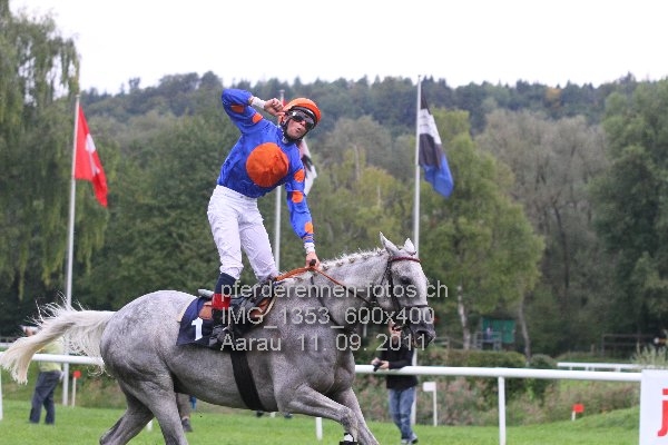 IMG 1353 600x400 prot