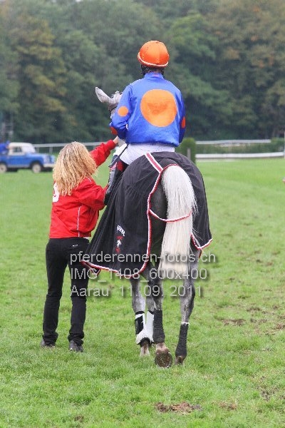 IMG 1408 600x400 prot