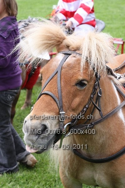 IMG 0076.8 600x400 prot