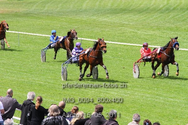 IMG 0094 600x400 prot