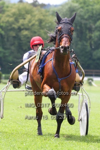 IMG 0317 600x400 prot