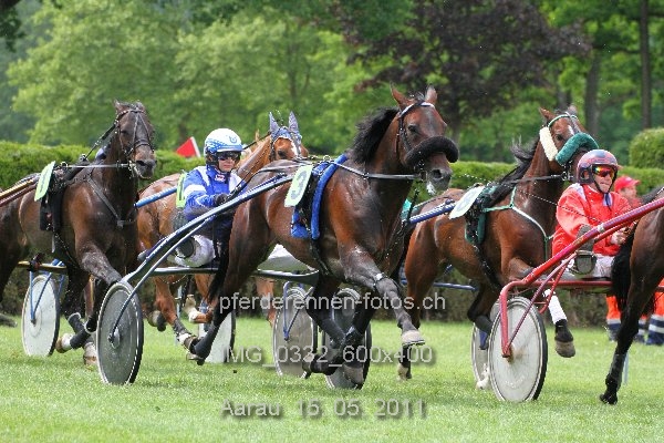 IMG 0332 600x400 prot