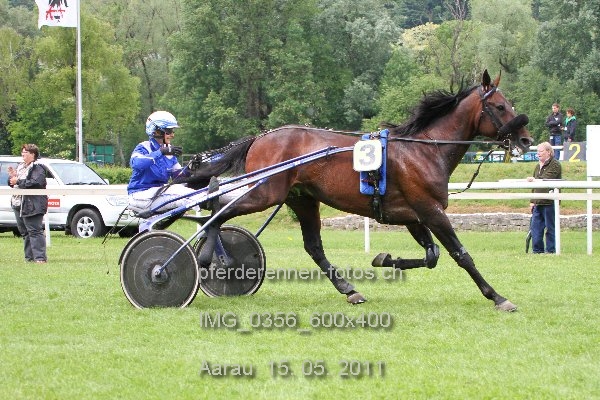 IMG 0356 600x400 prot