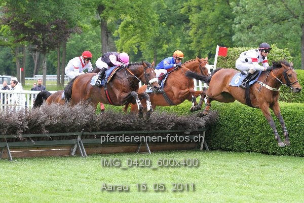 IMG 0420 600x400 prot