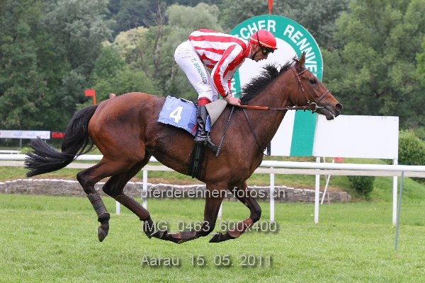 IMG 0463 600x400 prot