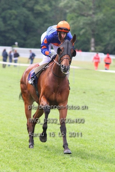 IMG 0532 600x400 prot