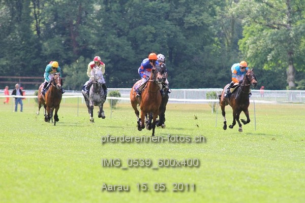 IMG 0539 600x400 prot