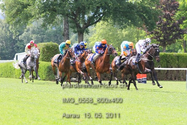 IMG 0558 600x400 prot