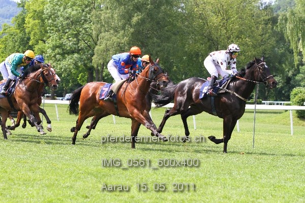 IMG 0561 600x400 prot