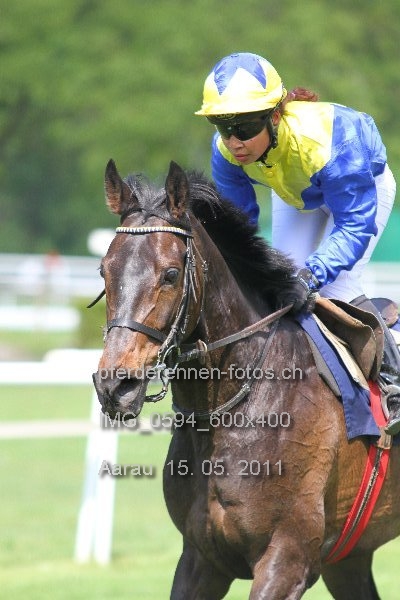 IMG 0594 600x400 prot