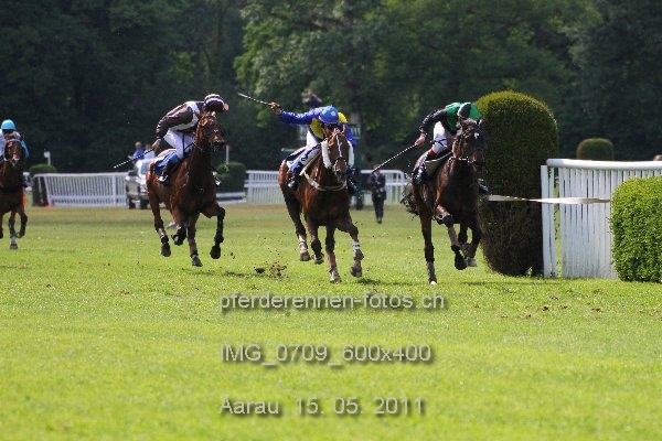 IMG 0709 600x400 prot