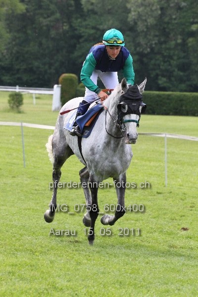 IMG 0758 600x400 prot