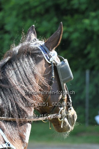 IMG 0851 600x400 prot