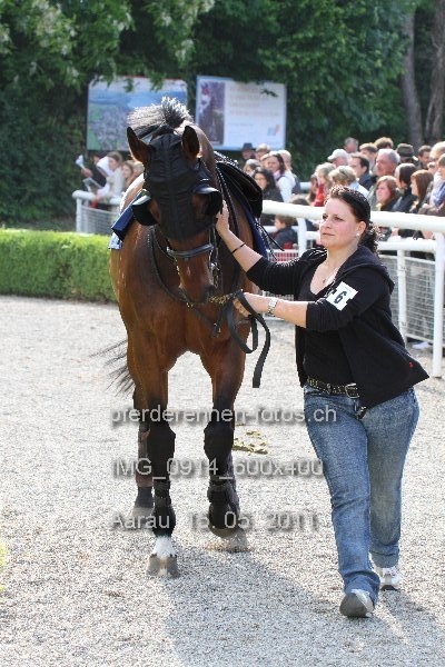 IMG 0914 600x400 prot