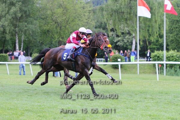 IMG 1128 600x400 prot