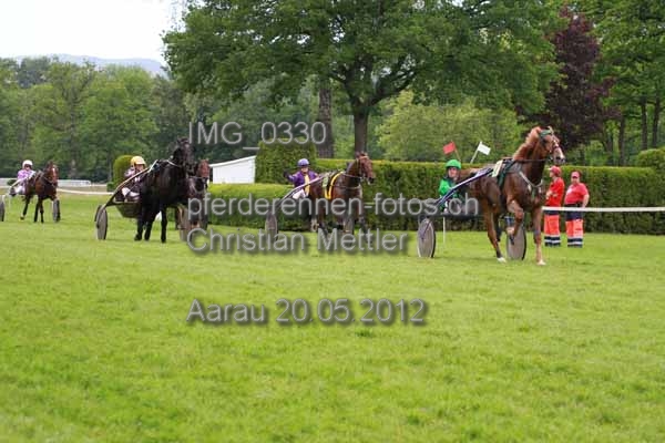 IMG 0330 prot