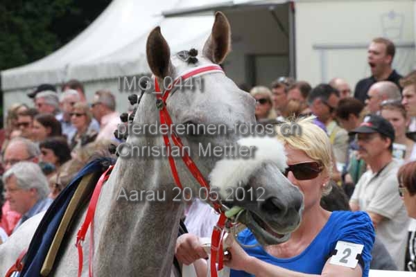 IMG 0441 prot