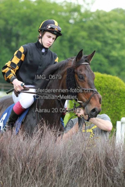 IMG 0679 prot