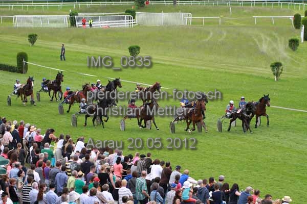 IMG 0835 prot