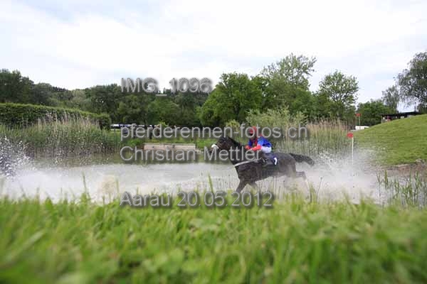 IMG 1096 prot