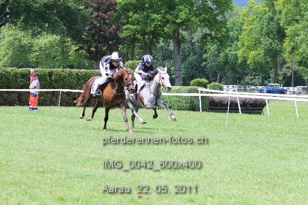 IMG 0042 600x400 prot