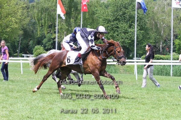 IMG 0049 600x400 prot