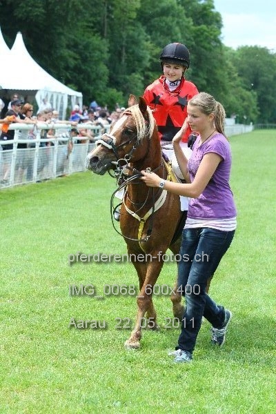 IMG 0068 600x400 prot