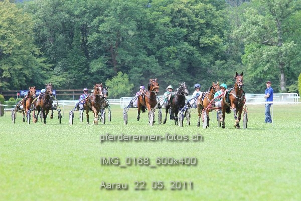IMG 0168 600x400 prot