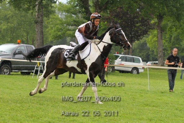 IMG 0207 600x400 prot