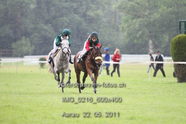 IMG 0216 600x400 prot