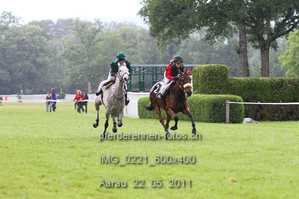 IMG 0221 600x400 prot